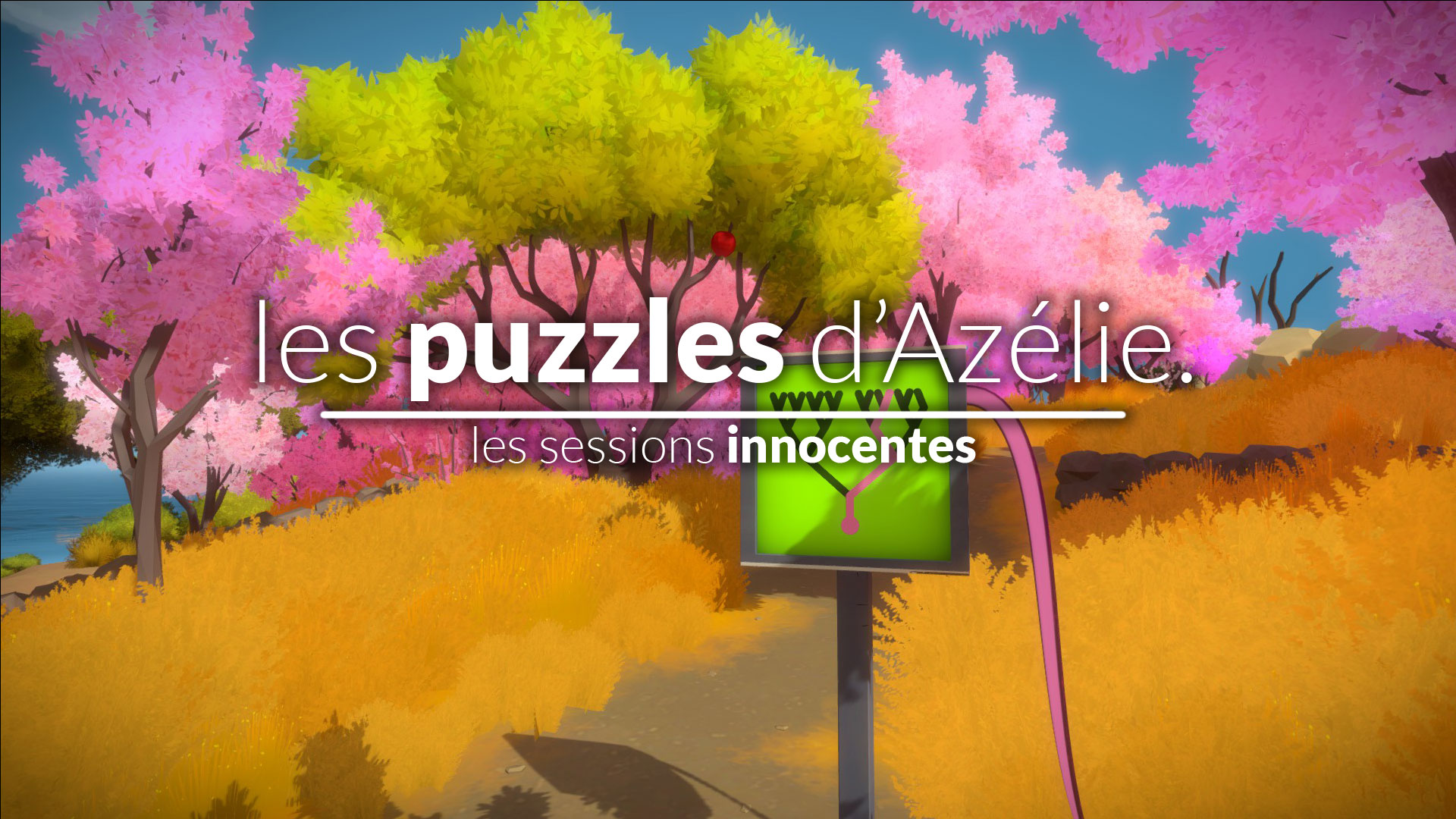 Les puzzles d’une inconnue – Session Innocente