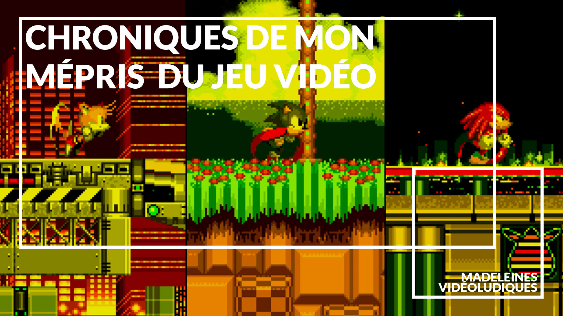 Chroniques de mon mépris  du jeu vidéo